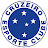 Cruzeiro clube de futebol